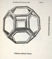 Octocedron abscisum vacuum, illustration from 